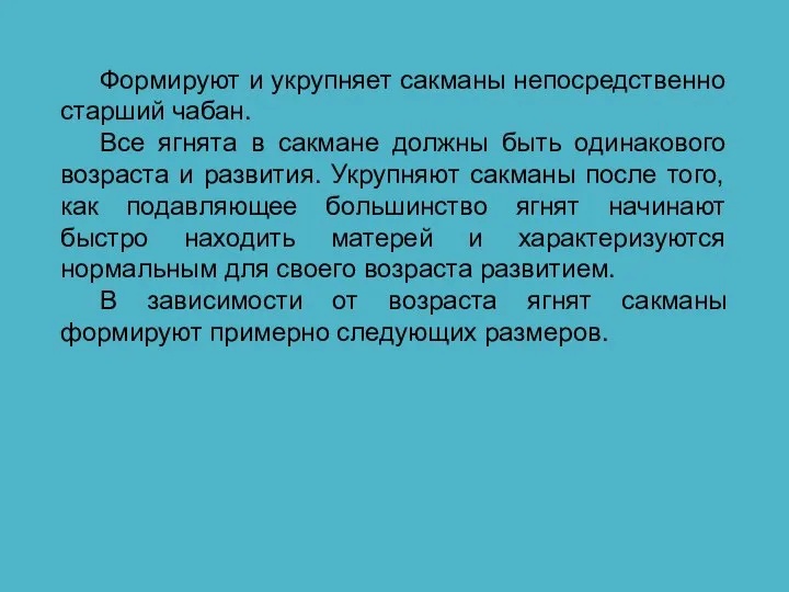 Формируют и укрупняет сакманы непосредственно старший чабан. Все ягнята в сакмане должны