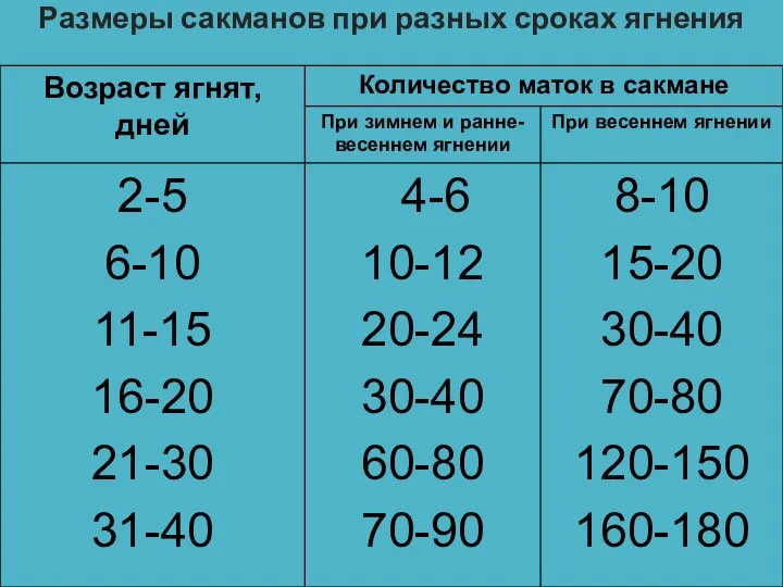 Размеры сакманов при разных сроках ягнения