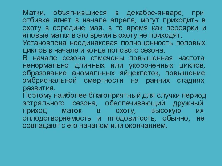 Матки, объягнившиеся в декабре-январе, при отбивке ягнят в начале апреля, могут приходить