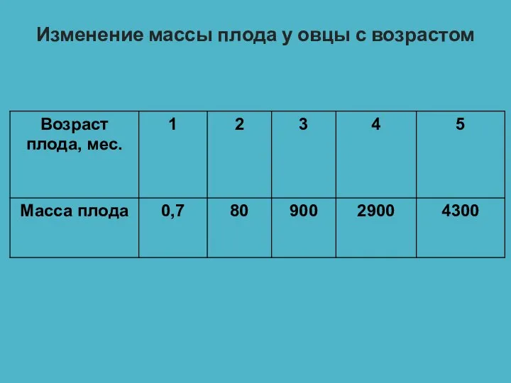 Изменение массы плода у овцы с возрастом