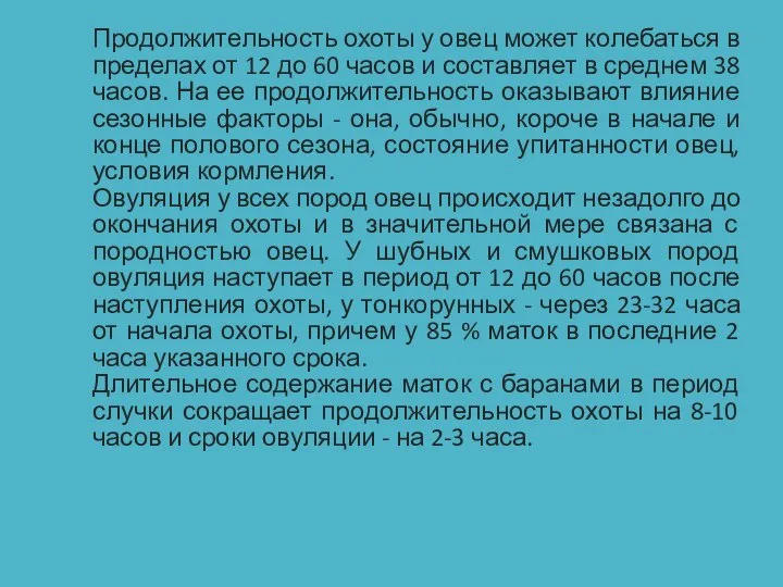 Продолжительность охоты у овец может колебаться в пределах от 12 до 60