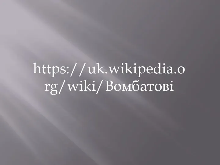 https://uk.wikipedia.org/wiki/Вомбатові