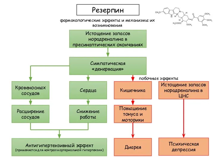 побочные эффекты Истощение запасов норадреналина в пресинаптических окончаниях Резерпин фармакологические эффекты и