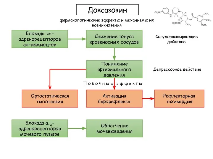 П о б о ч н ы е э ф ф е