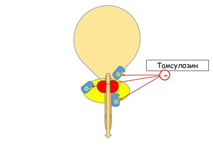 α1а α1а α1а Тамсулозин -