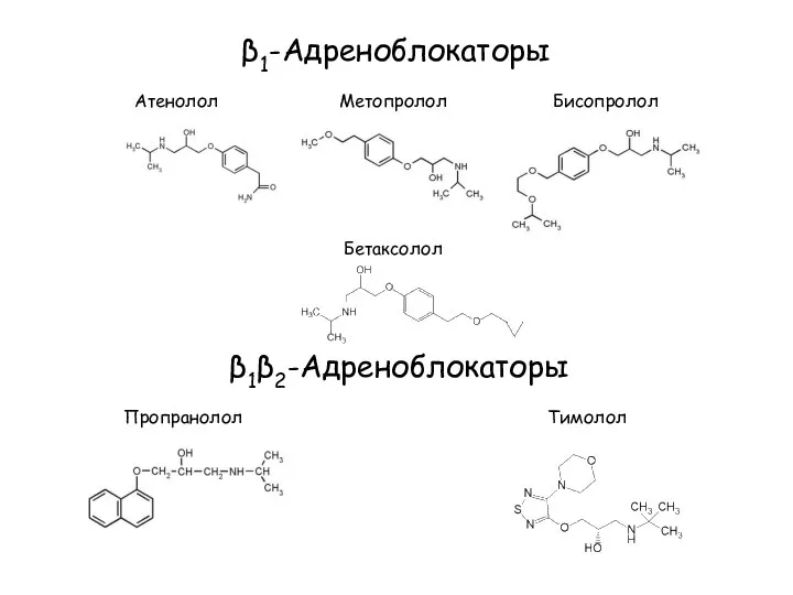 β1-Адреноблокаторы Атенолол Метопролол Бисопролол β1β2-Адреноблокаторы Пропранолол Тимолол Бетаксолол