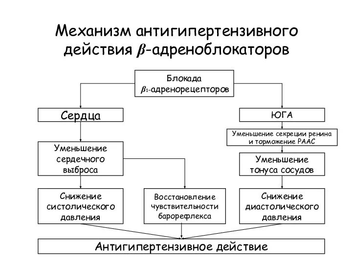 Механизм антигипертензивного действия β-адреноблокаторов Блокада β1-адренорецепторов Уменьшение сердечного выброса Уменьшение секреции ренина