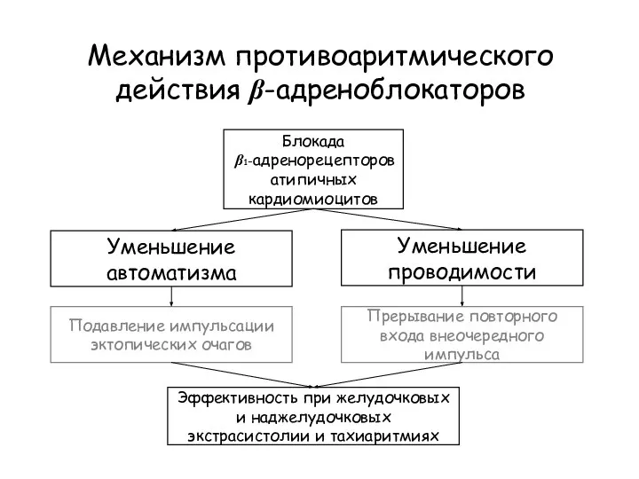 Механизм противоаритмического действия β-адреноблокаторов Блокада β1-адренорецепторов атипичных кардиомиоцитов Подавление импульсации эктопических очагов