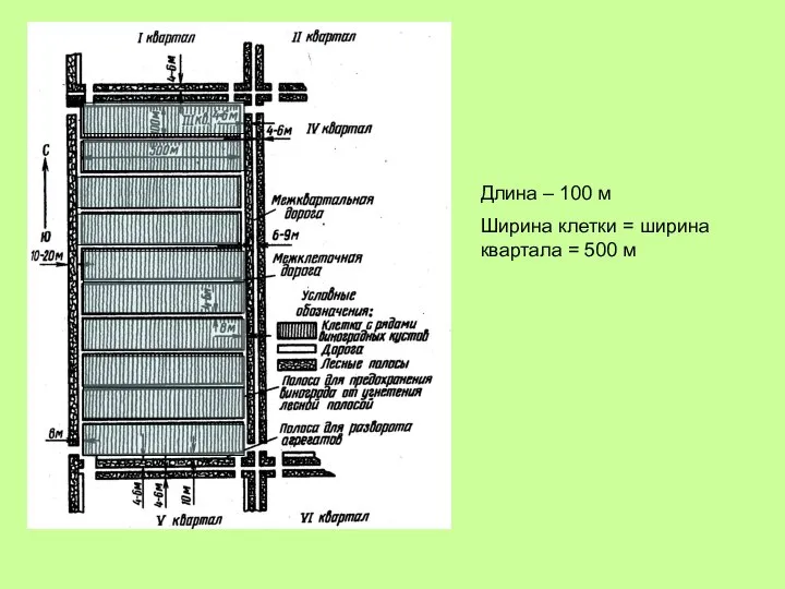 Длина – 100 м Ширина клетки = ширина квартала = 500 м