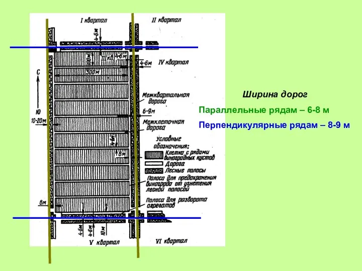 Ширина дорог Параллельные рядам – 6-8 м Перпендикулярные рядам – 8-9 м