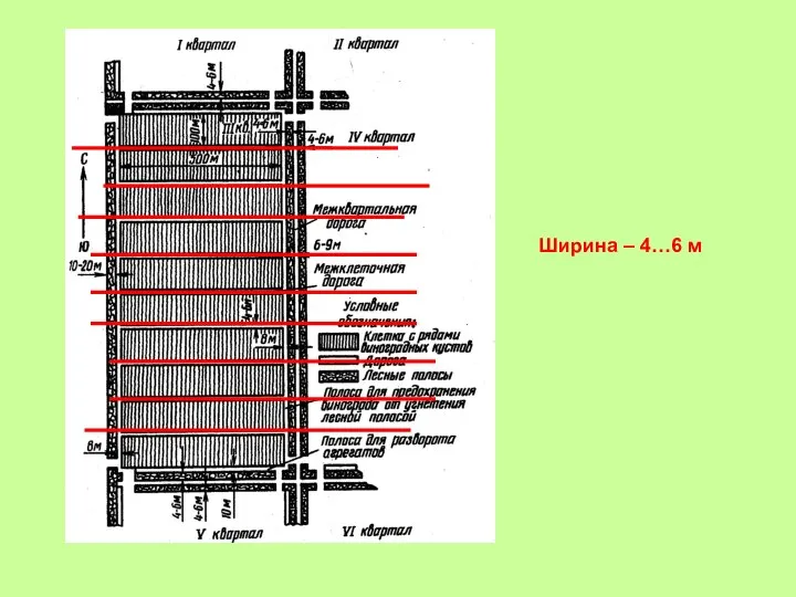 Ширина – 4…6 м