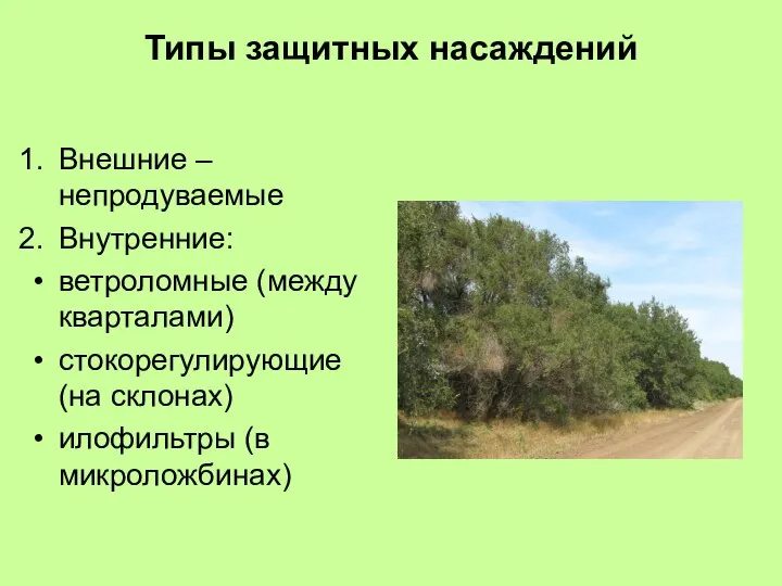 Типы защитных насаждений Внешние – непродуваемые Внутренние: ветроломные (между кварталами) стокорегулирующие (на склонах) илофильтры (в микроложбинах)