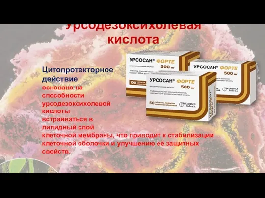 Цитопротекторное действие основано на способности урсодезоксихолевой кислоты встраиваться в липидный слой клеточной