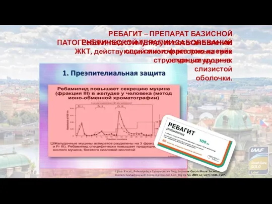 РЕБАГИТ – ПРЕПАРАТ БАЗИСНОЙ ПАТОГЕНЕТИЧЕСКОЙ ТЕРАПИИ ЗАБОЛЕВАНИЙ ЖКТ, действующий многофакторно на трёх