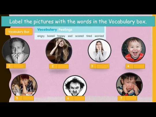 Label the pictures with the words in the Vocabulary box. Vocabulary Box