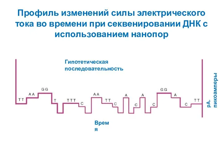 Профиль изменений силы электрического тока во времени при секвенировании ДНК с использованием