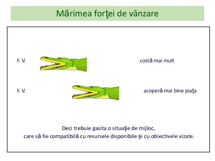 Mărimea forţei de vânzare F. V. costă mai mult F. V. acoperă