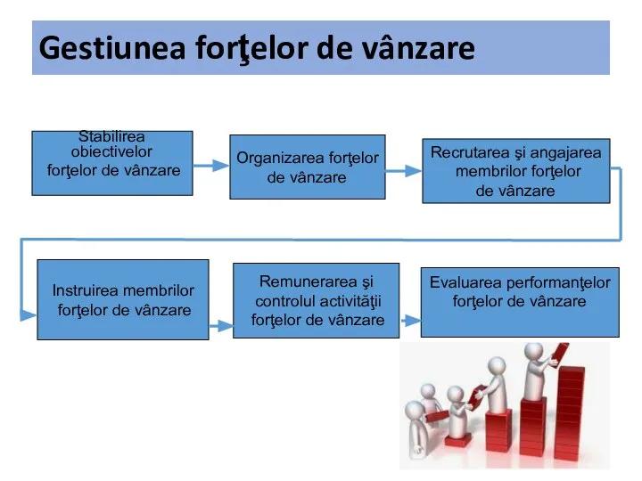 Gestiunea forţelor de vânzare Stabilirea obiectivelor forţelor de vânzare Organizarea forţelor de