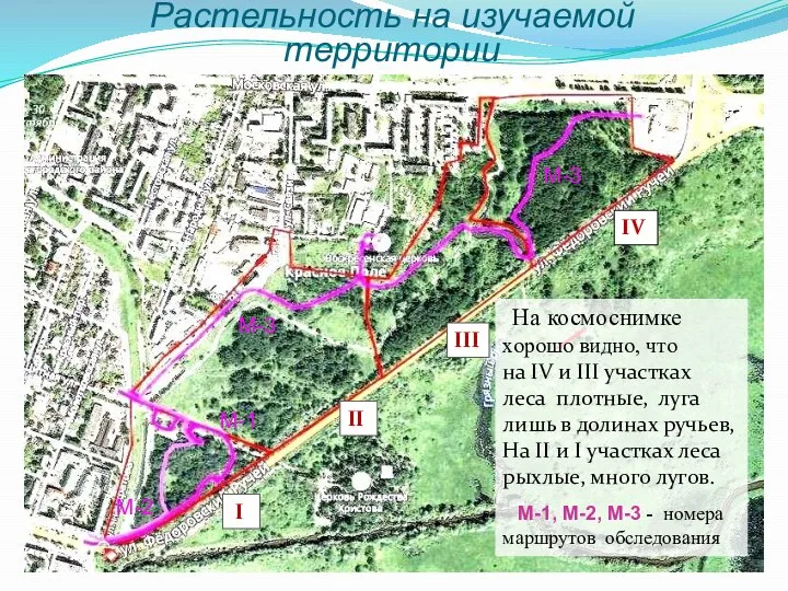 Растельность на изучаемой территории На космоснимке хорошо видно, что на IV и