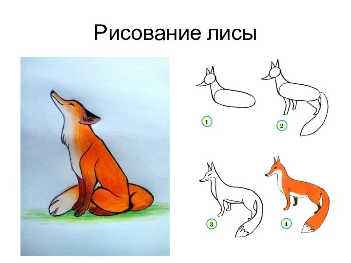 Рисование лисы