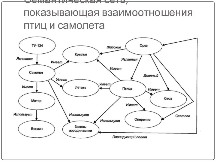 Семантическая сеть, показывающая взаимоотношения птиц и самолета