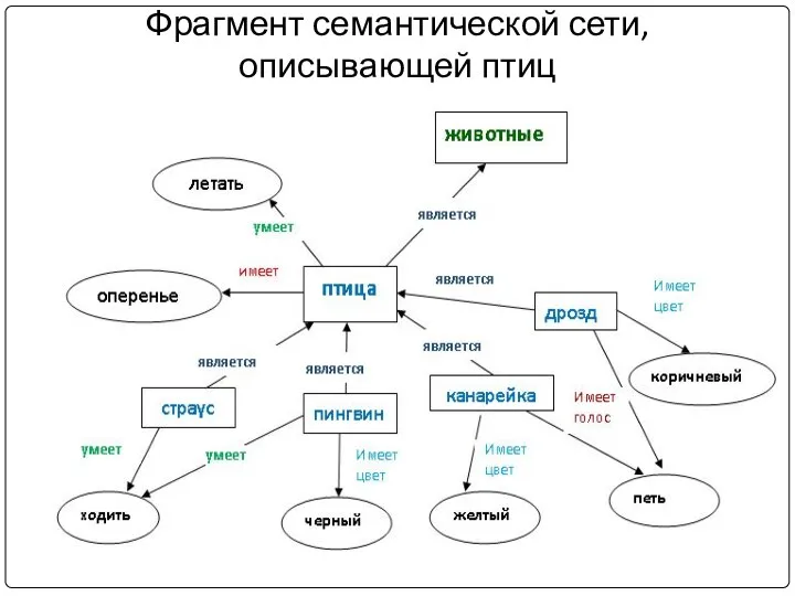 Фрагмент семантической сети, описывающей птиц