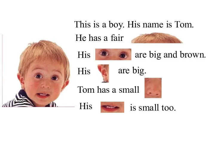 This is a boy. His name is Tom. His His Tom has
