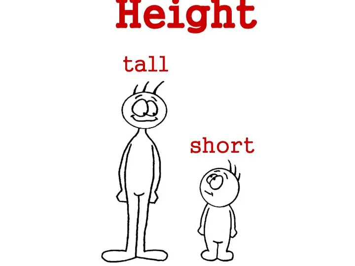 tall short Height