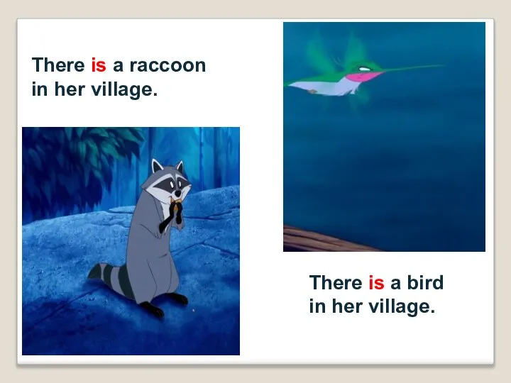 There is a raccoon in her village. There is a bird in her village.