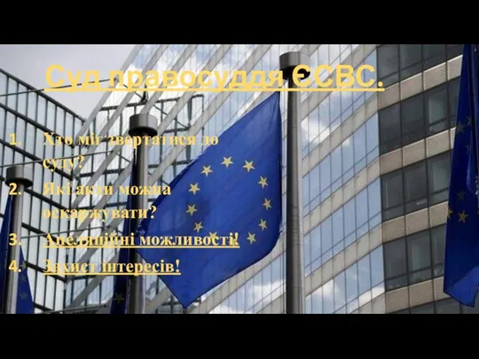 Суд правосуддя ЄСВС. Хто міг звертатися до суду? Які акти можна оскаржувати? Апеляційні можливості! Захист інтересів!