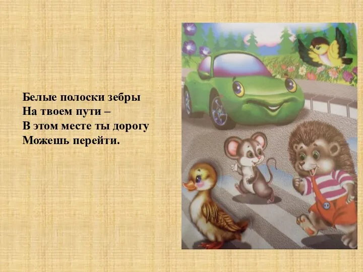 Белые полоски зебры На твоем пути – В этом месте ты дорогу Можешь перейти.