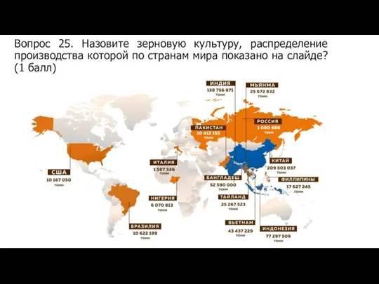 Вопрос 25. Назовите зерновую культуру, распределение производства которой по странам мира показано на слайде? (1 балл)