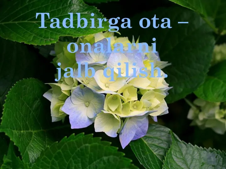 Tadbirga ota – onalarni jalb qilish.