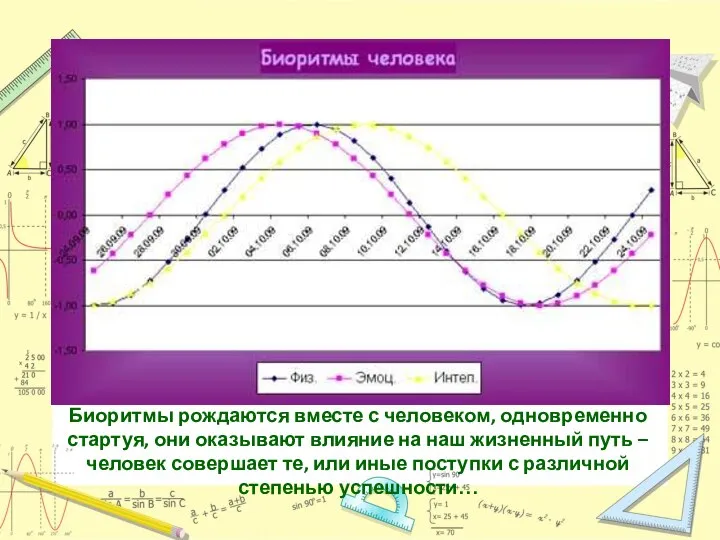 Биоритмы рождаются вместе с человеком, одновременно стартуя, они оказывают влияние на наш