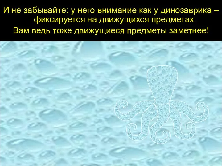 И не забывайте: у него внимание как у динозаврика –фиксируется на движущихся