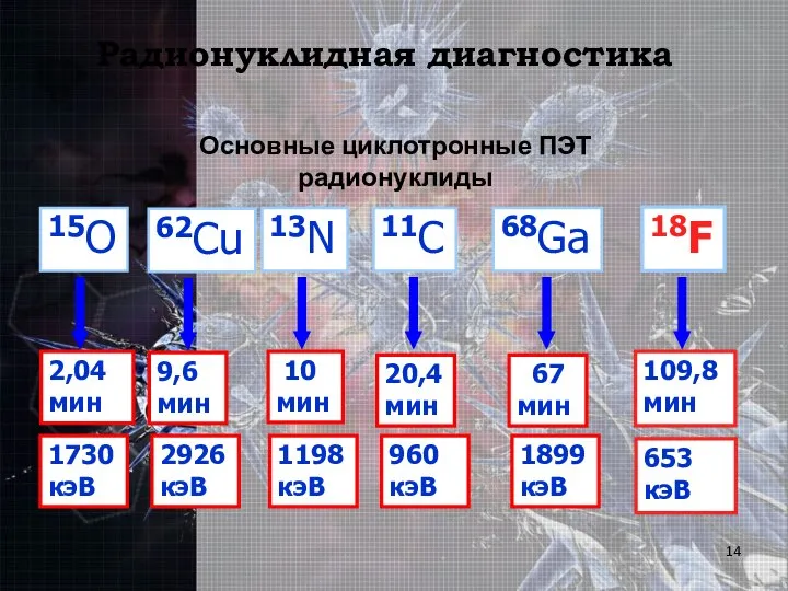 Основные циклотронные ПЭТ радионуклиды 15O 13N 11С 18F 2,04 мин 10 мин