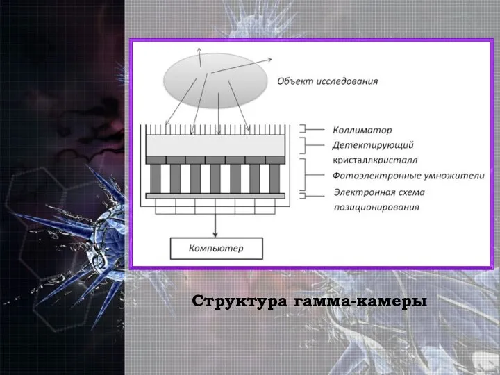 Структура гамма-камеры