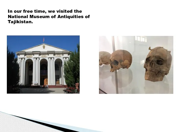 In our free time, we visited the National Museum of Antiquities of Tajikistan.