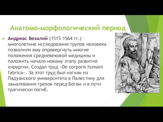 Анатомо-морфологический период Андреас Везалий (1515–1564 гг.) – многолетние исследования трупов человека позволили