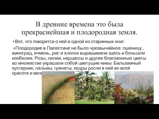 В древние времена это была прекраснейшая и плодородная земля. Вот, что говорится