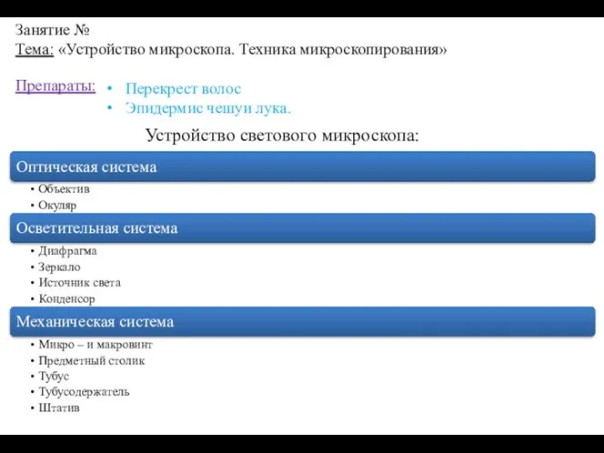 Занятие № Тема: «Устройство микроскопа. Техника микроскопирования» Препараты: Перекрест волос Эпидермис чешуи лука. Устройство светового микроскопа: