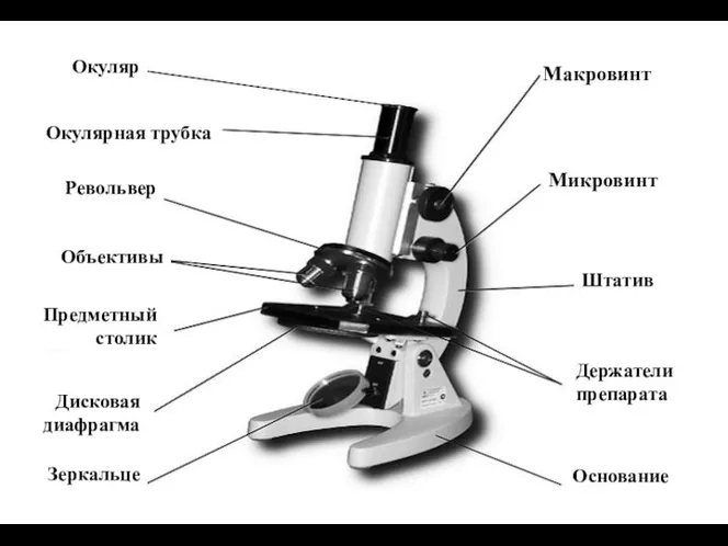 Микро – и макровинт