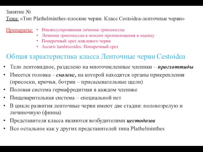 Занятие № Тема: «Тип Plathelminthes-плоские черви. Класс Cestoidea-ленточные черви» Тело лентовидное, разделено
