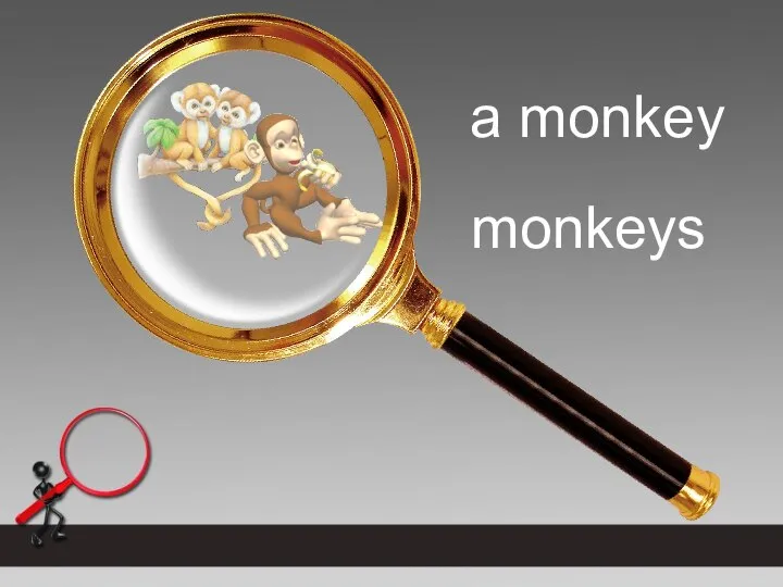 a monkey monkeys