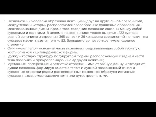 Позвоночник человека образован лежащими друг на друге 31—34 позвонками, между телами которых