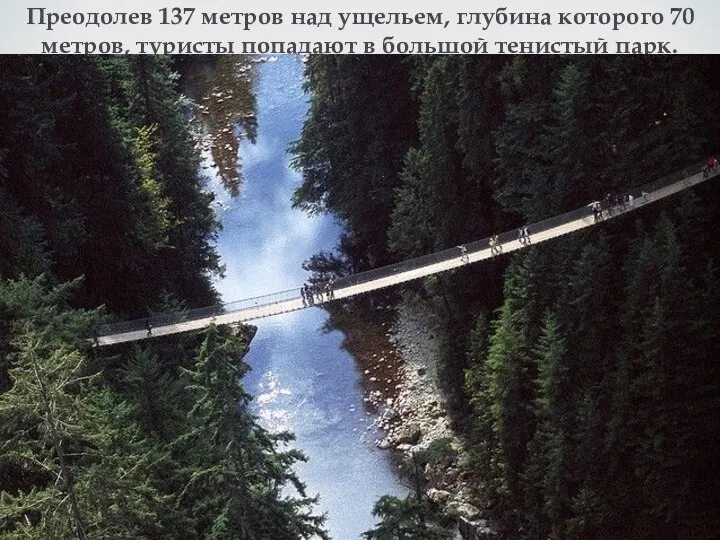 Преодолев 137 метров над ущельем, глубина которого 70 метров, туристы попадают в большой тенистый парк.