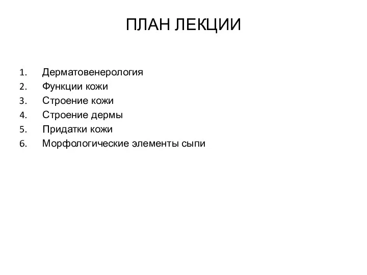 ПЛАН ЛЕКЦИИ Дерматовенерология Функции кожи Строение кожи Строение дермы Придатки кожи Морфологические элементы сыпи