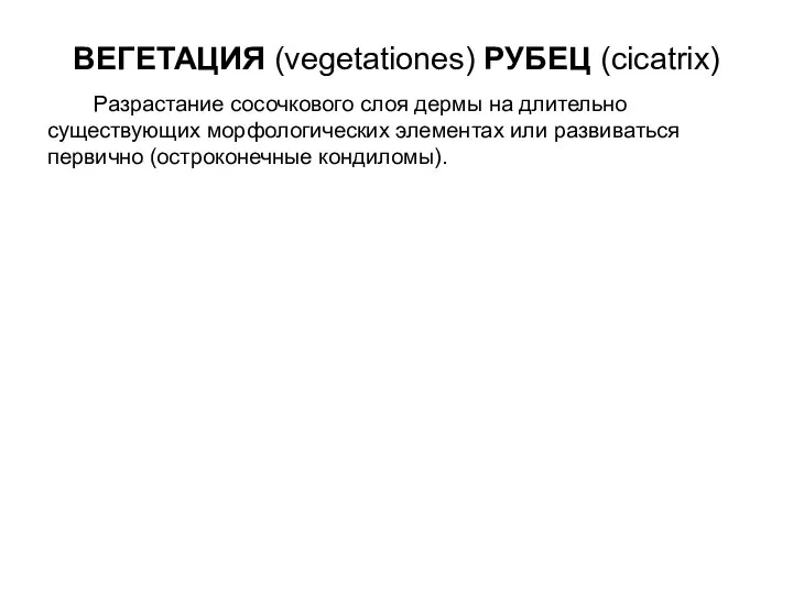 ВЕГЕТАЦИЯ (vegetationes) РУБЕЦ (cicatrix) Разрастание сосочкового слоя дермы на длительно существующих морфологических