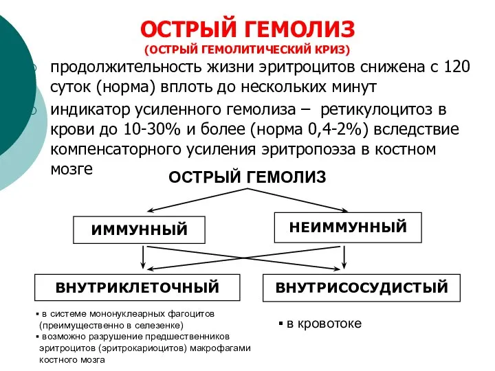 ОСТРЫЙ ГЕМОЛИЗ (ОСТРЫЙ ГЕМОЛИТИЧЕСКИЙ КРИЗ) продолжительность жизни эритроцитов снижена с 120 суток