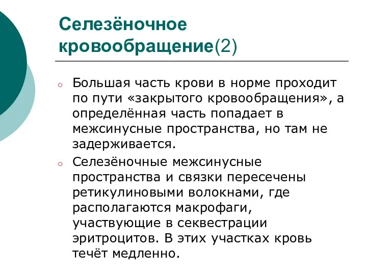 Селезёночное кровообращение(2) Большая часть крови в норме проходит по пути «закрытого кровообращения»,